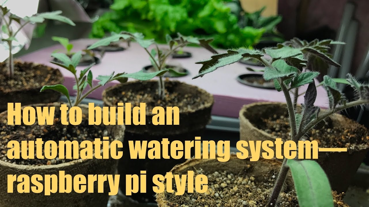 How to build an easy automatic watering system for seedlings using a Raspberry pi