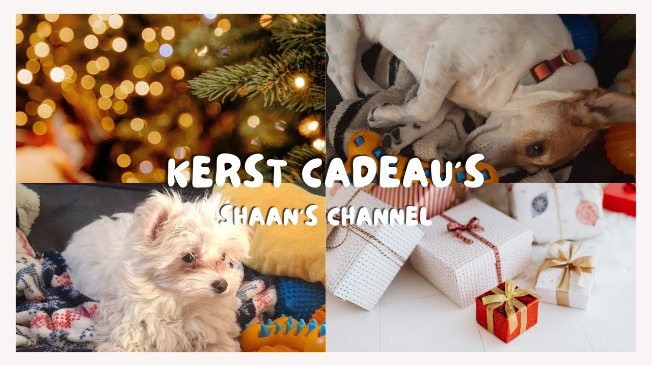 Christmas present | Christmas