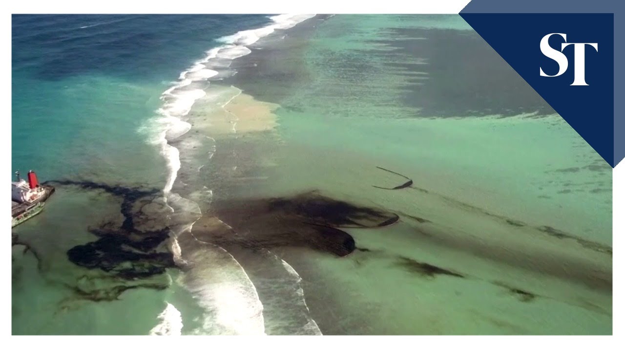 Japanese ship that caused Mauritius oil spill passed checks
