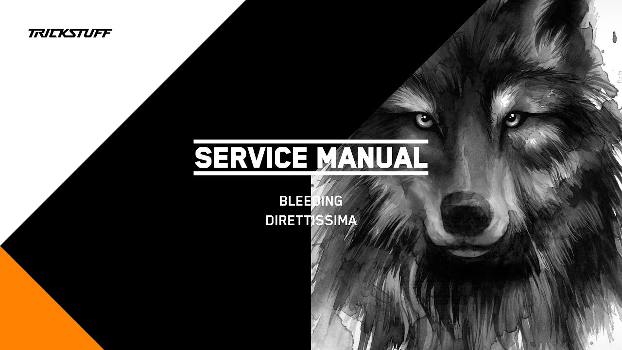 SERVICE MANUAL: BLEEDING – DIRETTISSIMA