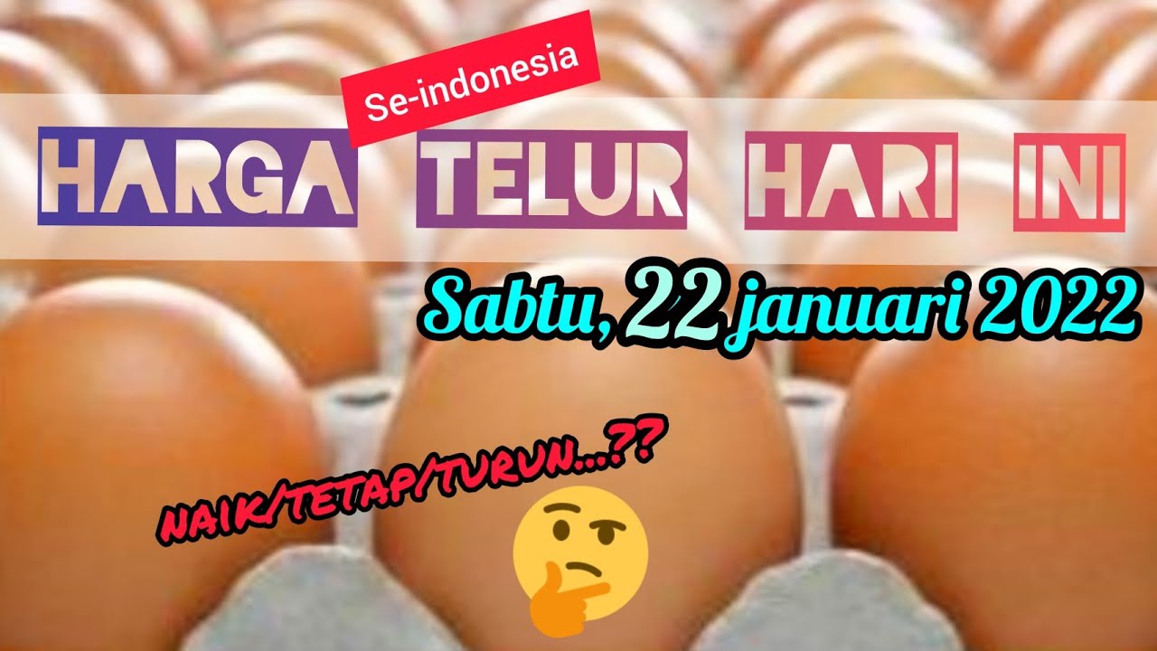 Harga telur ayam hari ini || HARGA TELUR HARI INI (sabtu, 29 januari 2022)