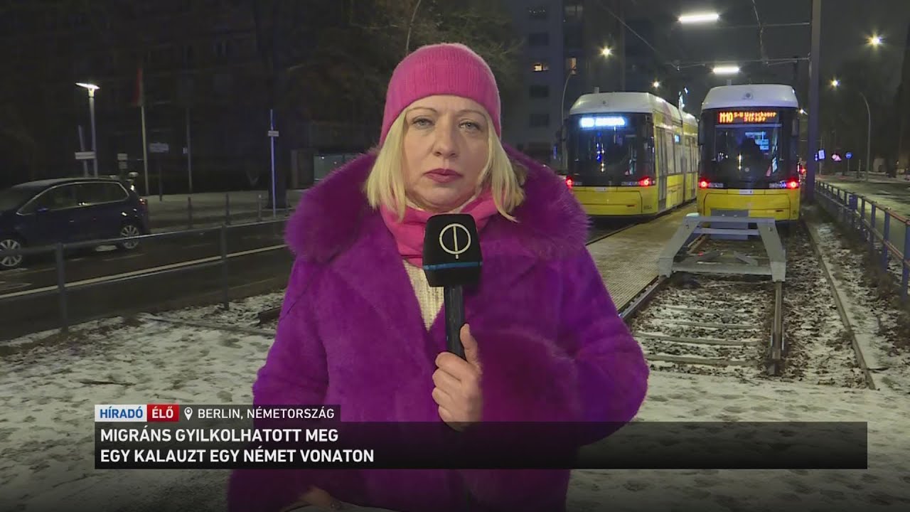 Migráns gyilkolhatott meg egy kalauzt egy németországi vonaton