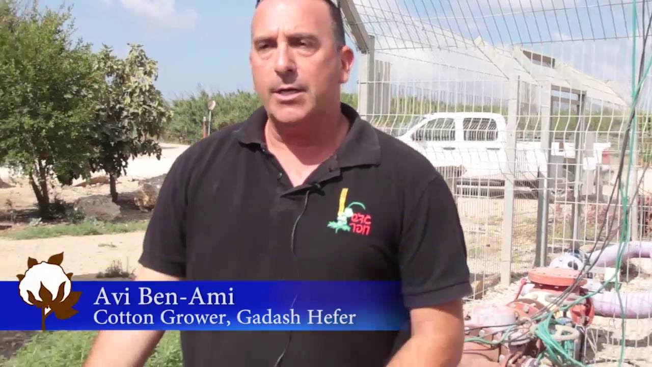 Israel Cotton and the BCI