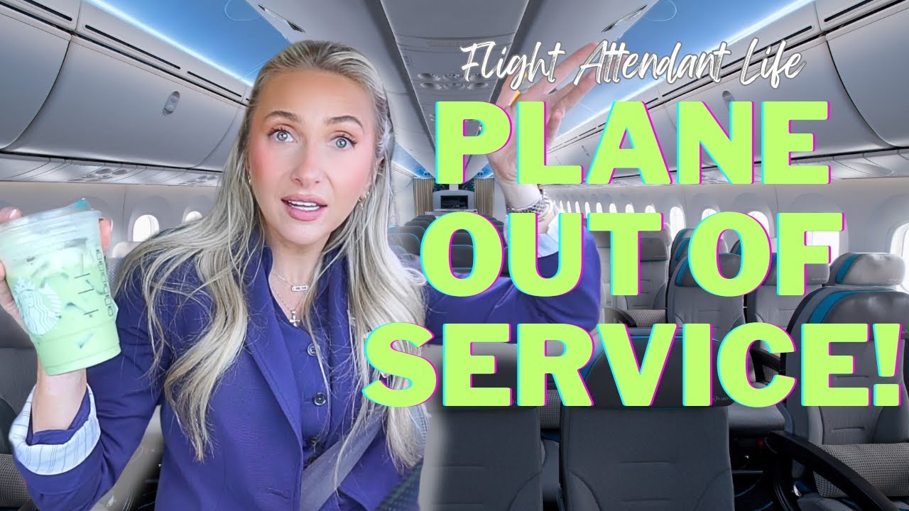 FLIGHT ATTENDANT LIFE