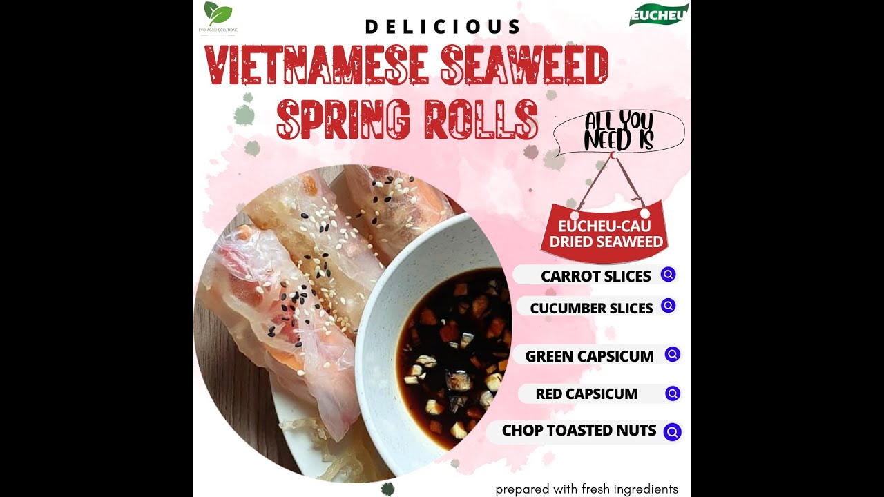 Vietnamese Seaweed Spring Rolls