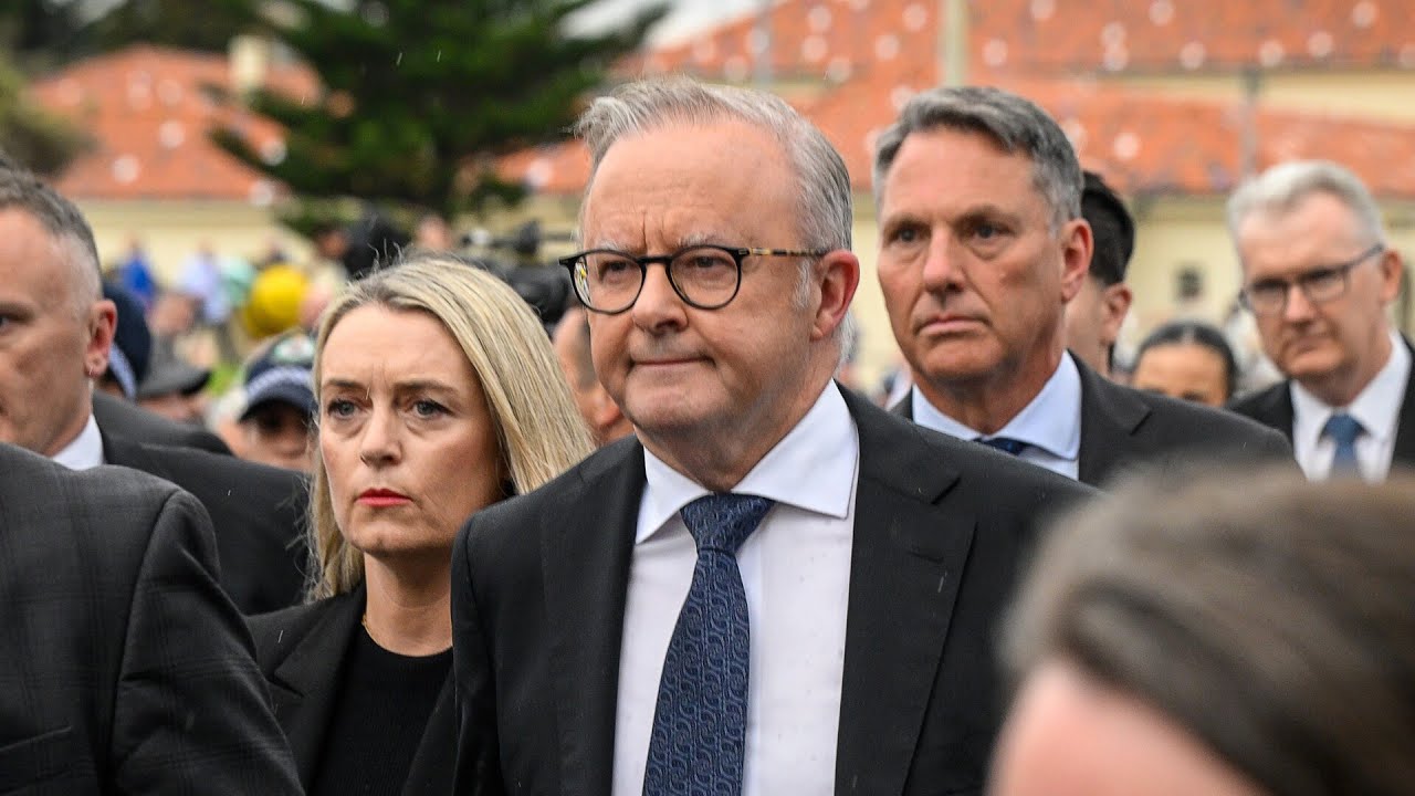 ‘This bill has been rushed’: Albanese’s national gun buyback under scrutiny