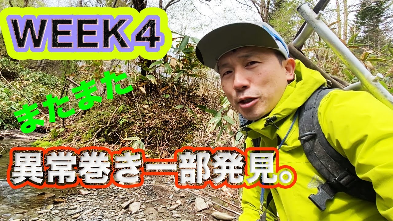 【S4】WEEK4  チューロニアンの異常巻きアンモナイトの一部発見。次に繋げます！！