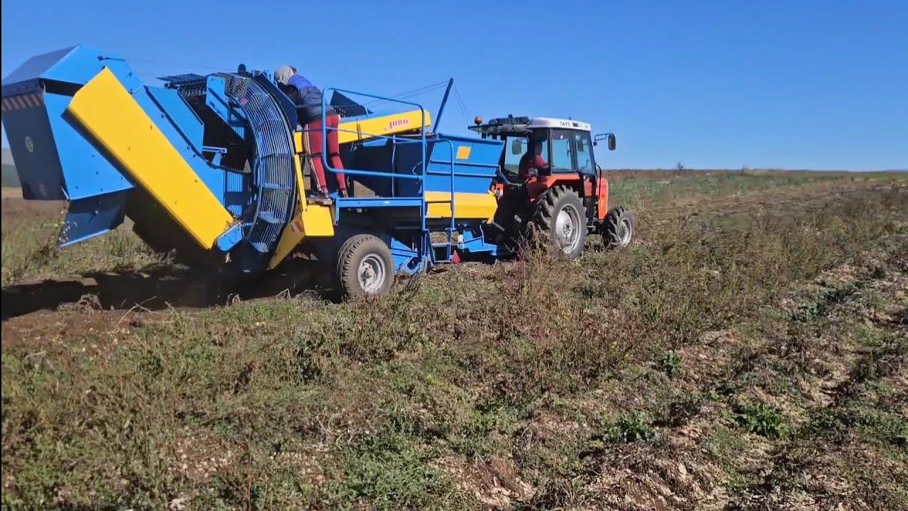 Uslužno vađenje krompira tafe IMT 539 ANNA Z644 