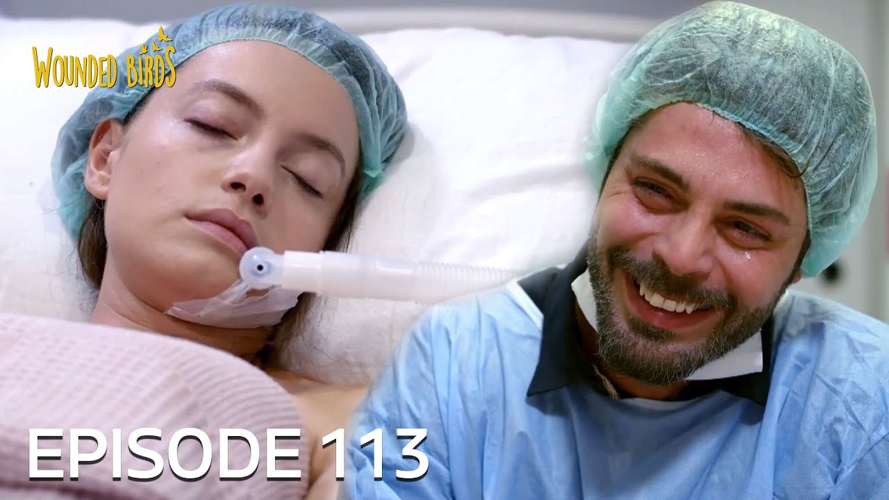Wounded Birds | Episode 113