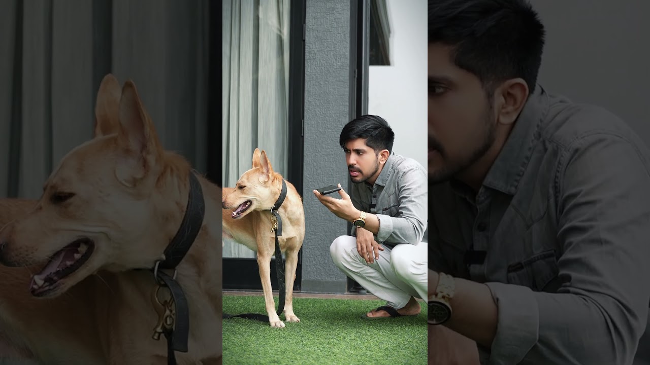 Power of A.I. 🐶😂 | Kuldeep Singhaniaa #shorts