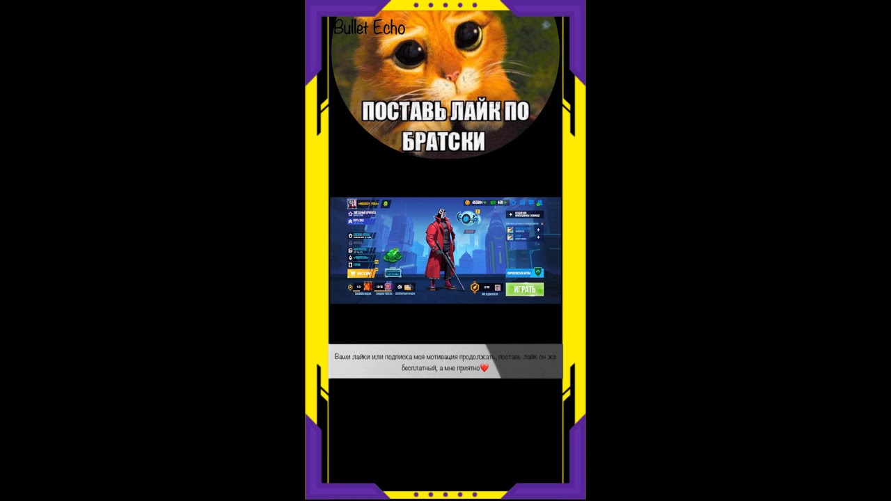 Bullet Echo описание ⬇️