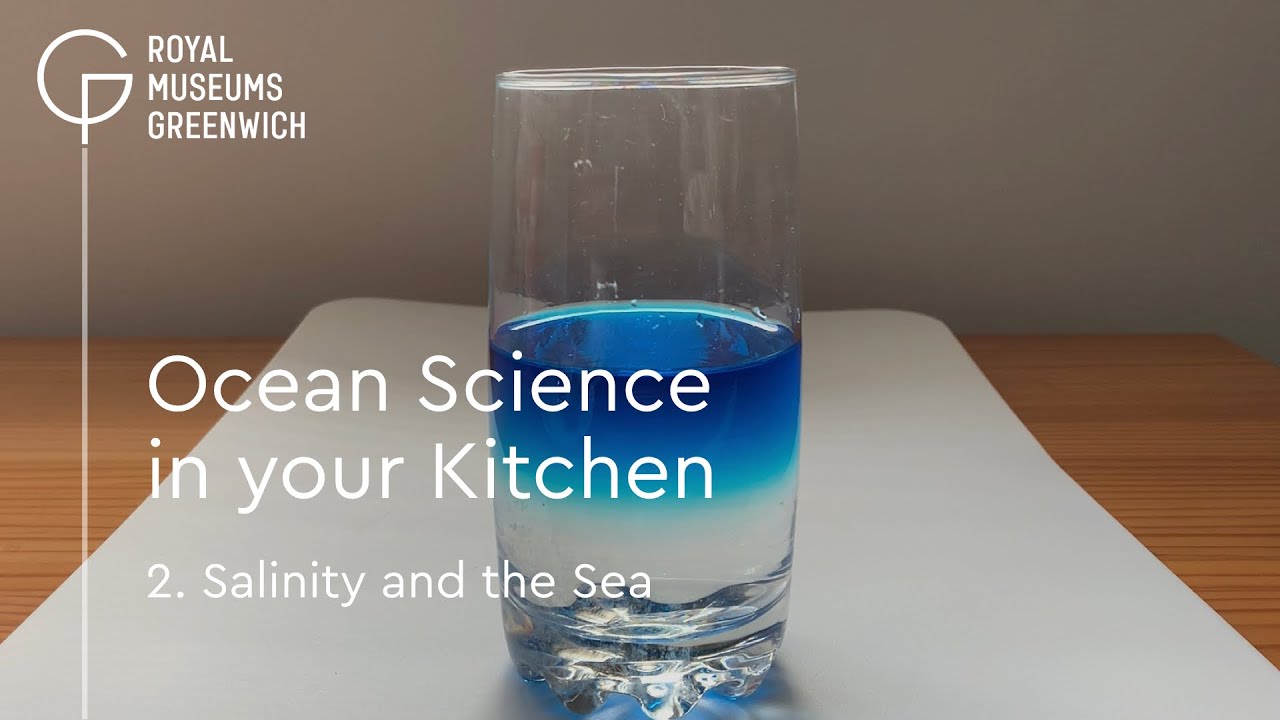 Ocean Science In Your Kitchen | Salinity & the Sea