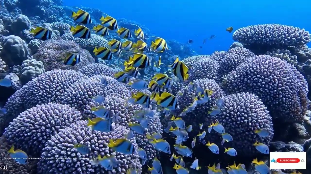 Long Ambient Piano With Gentle Ocean Waves For Sleep Meditation And Deep Relaxation