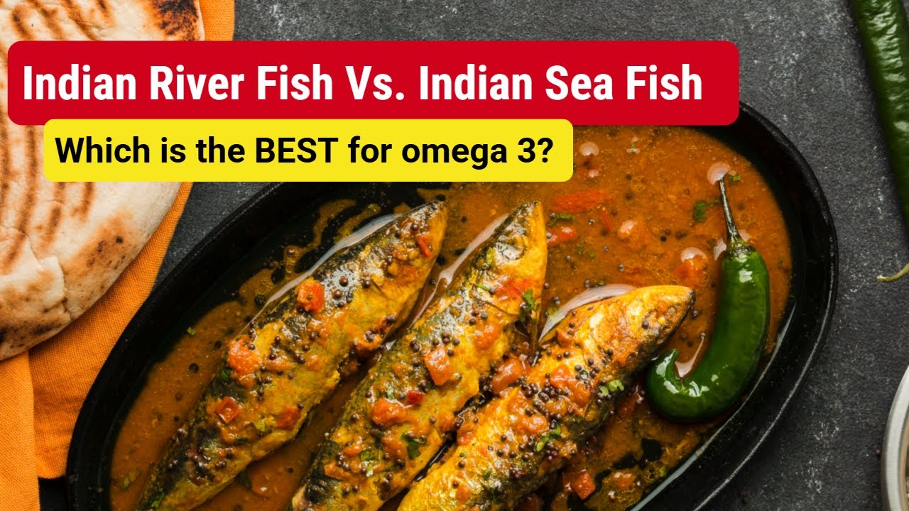 Indian River Fish or Indian Sea Fish - Which is the BEST for Omega 3?|| Hindi || WellnessMunch