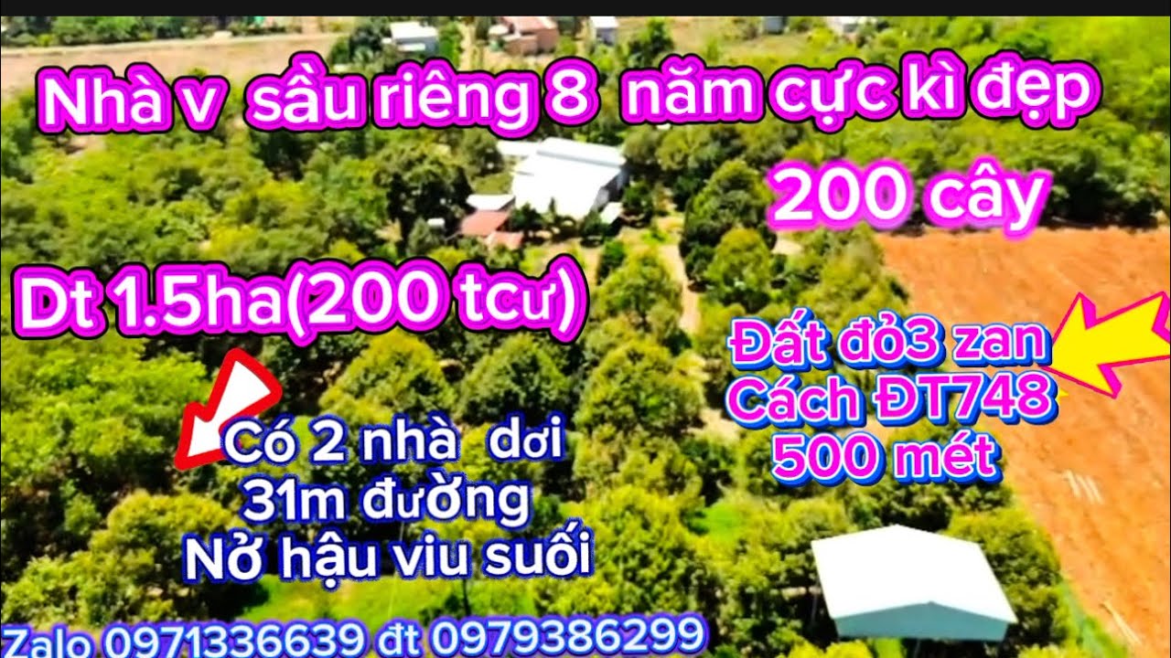 Số 1455,vườn sầu riêng 8 năm nha và  cây ăn trái tổng hợp chủ cần bán gần sát c ty,1,5,ha (3,tỷ 6 