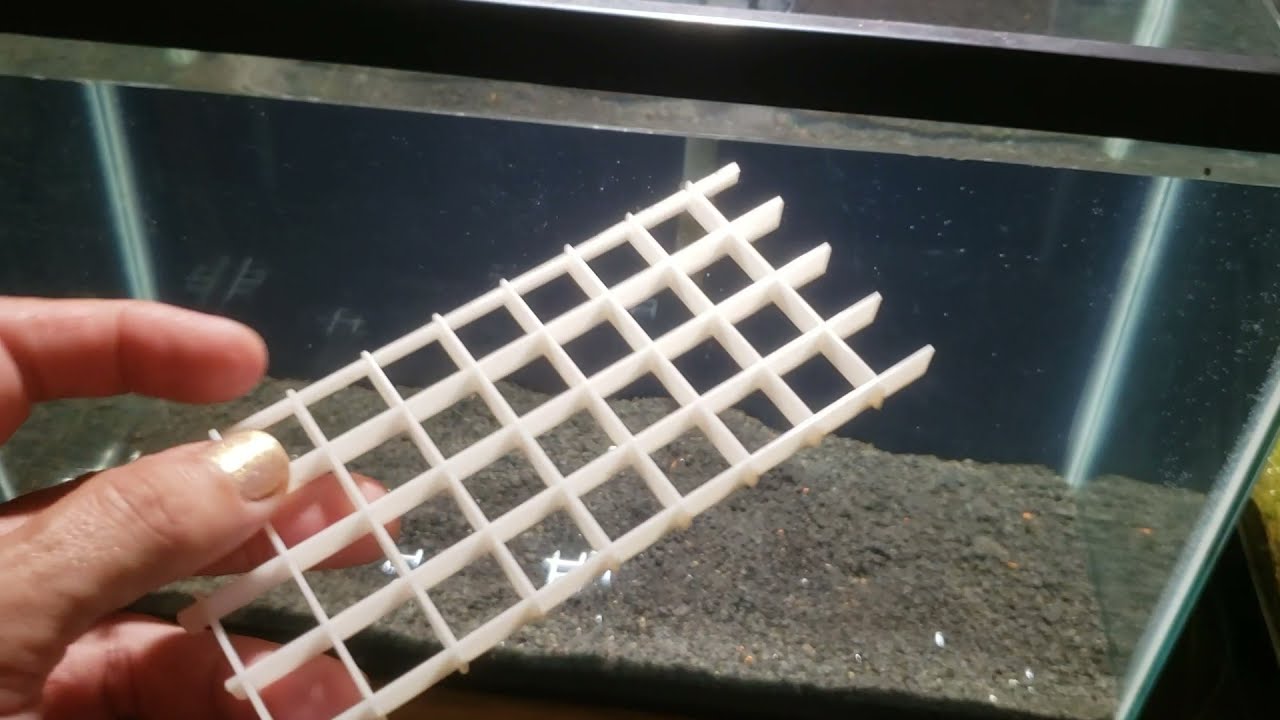 Quick Tip: Always Do This Before Adding Substrate