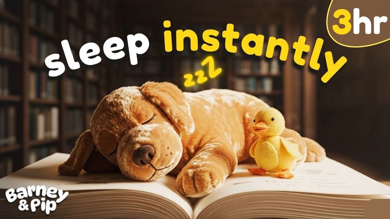 BABY SLEEPS INSTANTLY 💤 Bedtime Lullabies with Library Ambience | Baby Sleep Music (Barney & Pip)