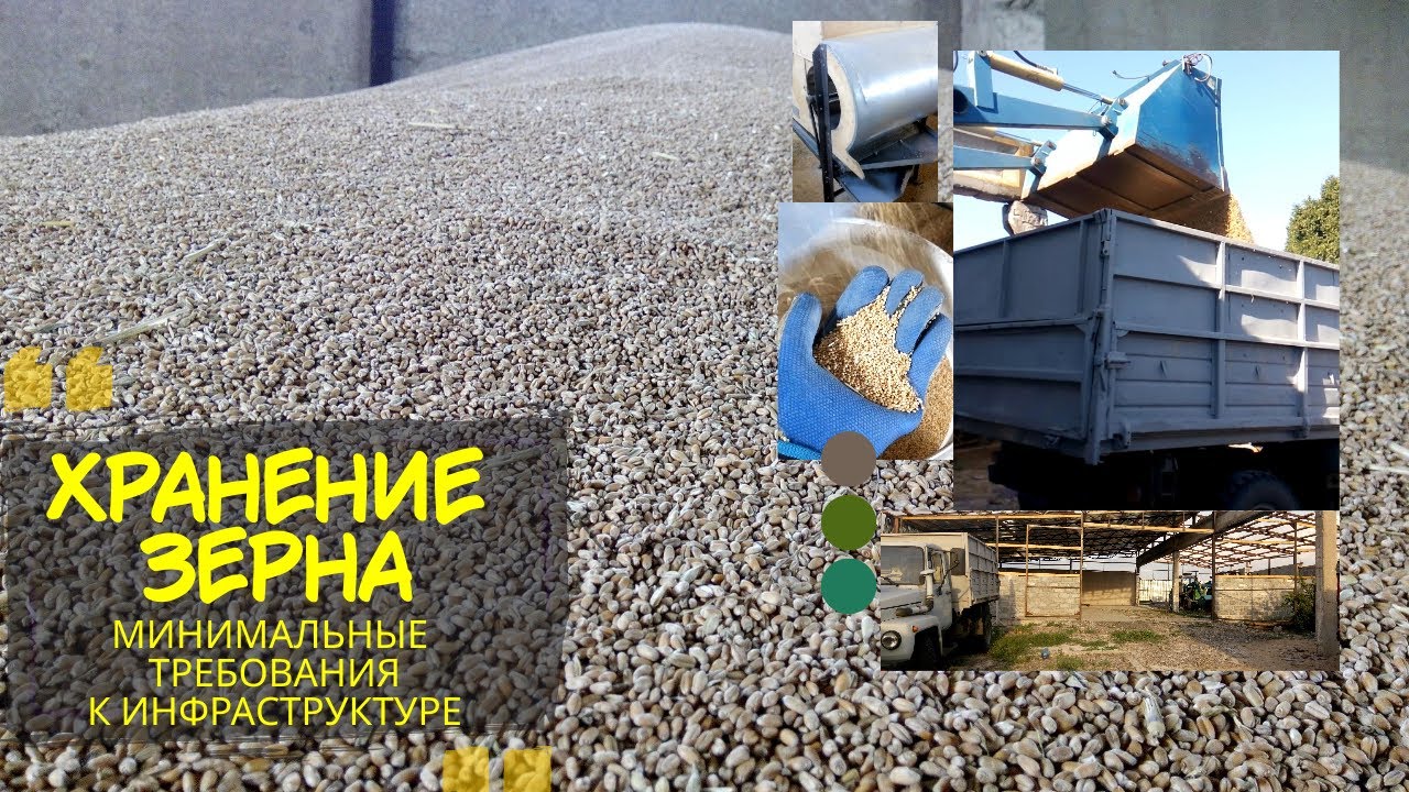 Хранение зерна в ангаре - минимальные требования к инфраструктуре