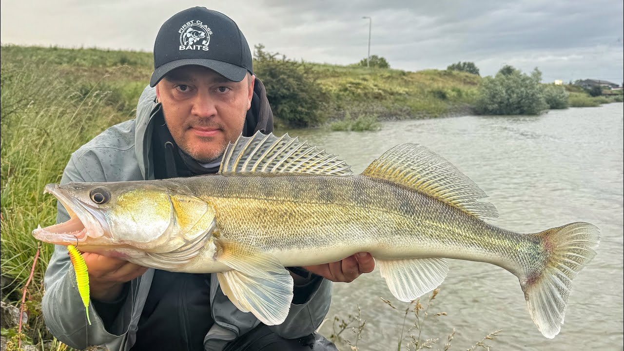 Kickback-Rig binden: Die Geheimwaffe für Barsch & Zander! 🎣 | First Class Baits Tutorial
