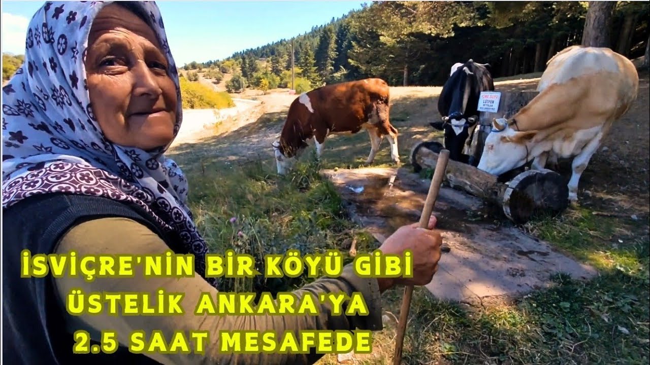 İSVİÇRE 'DE BİR KÖY GİBİ ÜSTELİK ANKARA'YA 2.5 SAAT MESAFEDE
