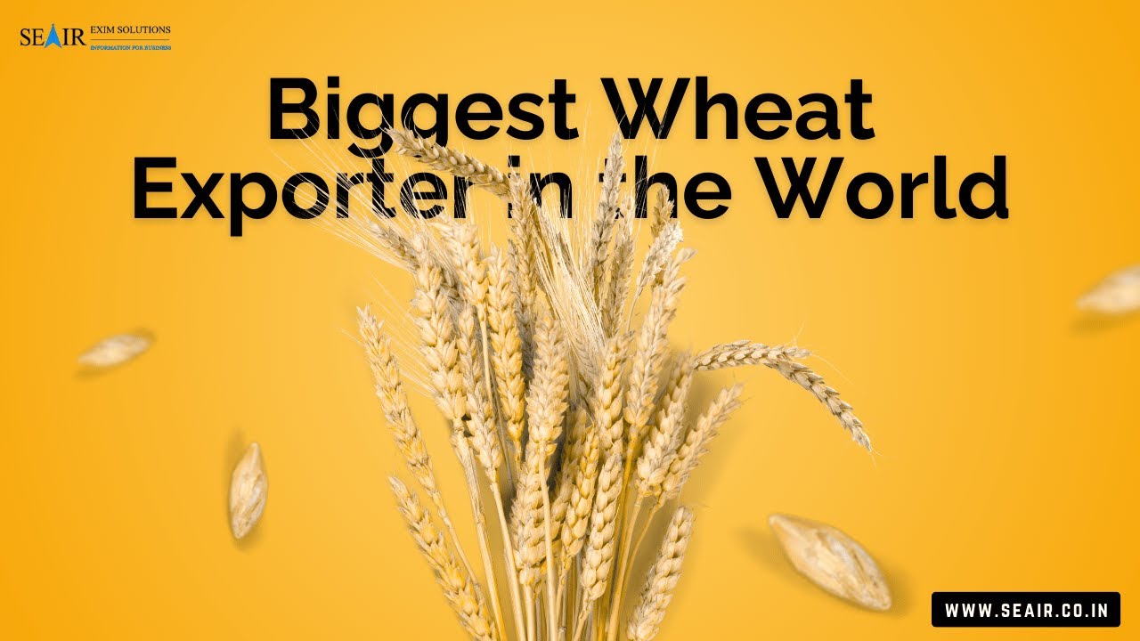 Biggest Wheat Exporter in the World: Major Wheat Exporting Countries