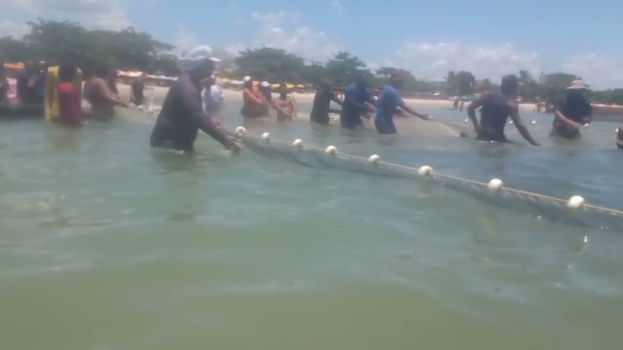 Arrastão gigante  , dos pescadores na praia de Cabuçu 2026. Saubara Bahia 