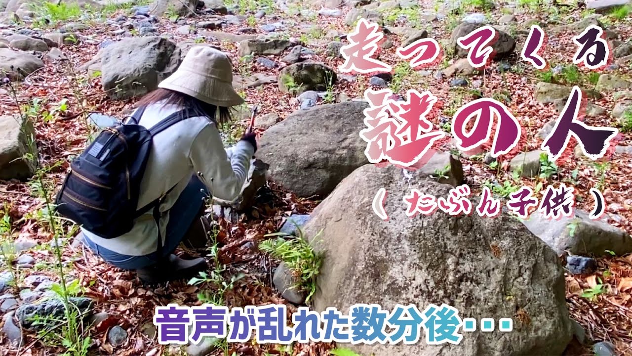 【心霊映像】化石発掘してたら、幽霊でました。