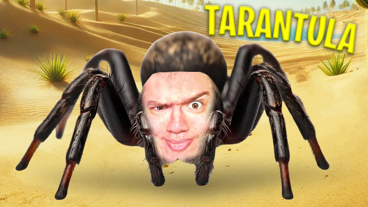 Sunt o TARANTULA