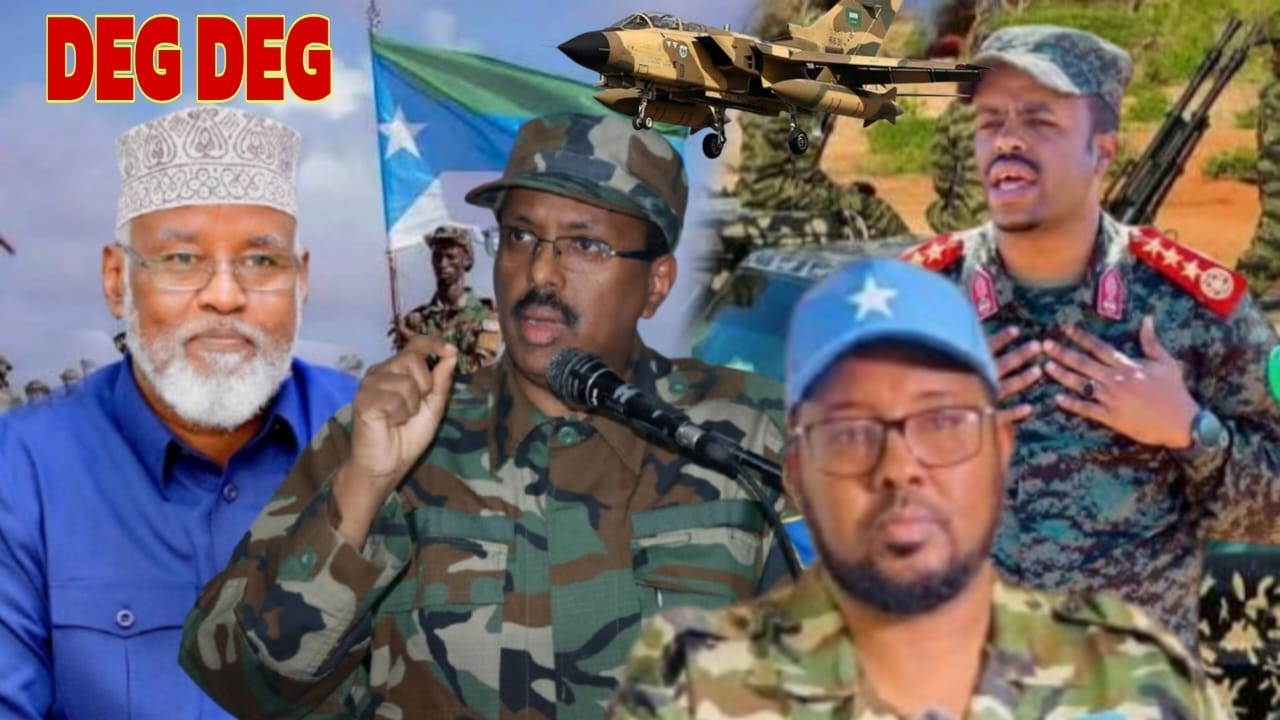 DEG-DEG Ciidanka Birjeex oo lagu warejiyay Farmaajo Dagaalka Ceerigaabo & Ciidanka Firdhiye Duqeynta