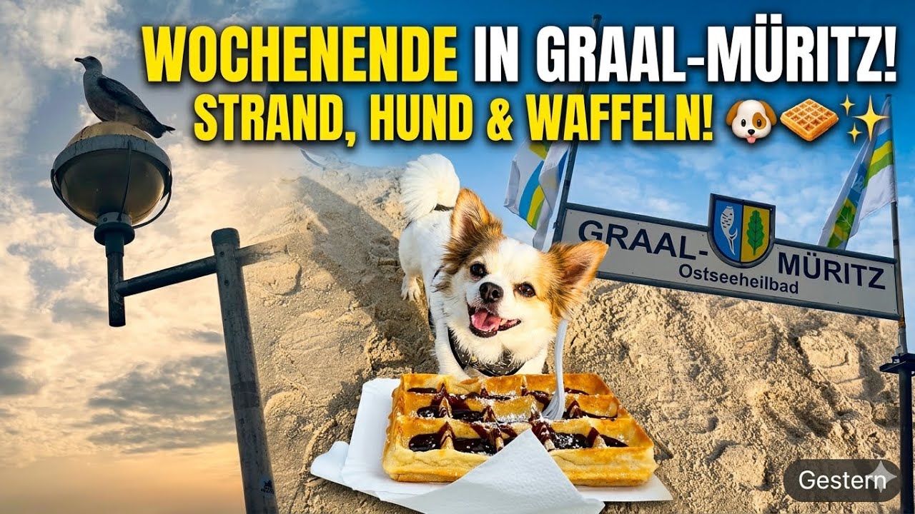Ostsee-Vlog: Mit dem Hund am Strand von Graal-Müritz! 🐾🌊