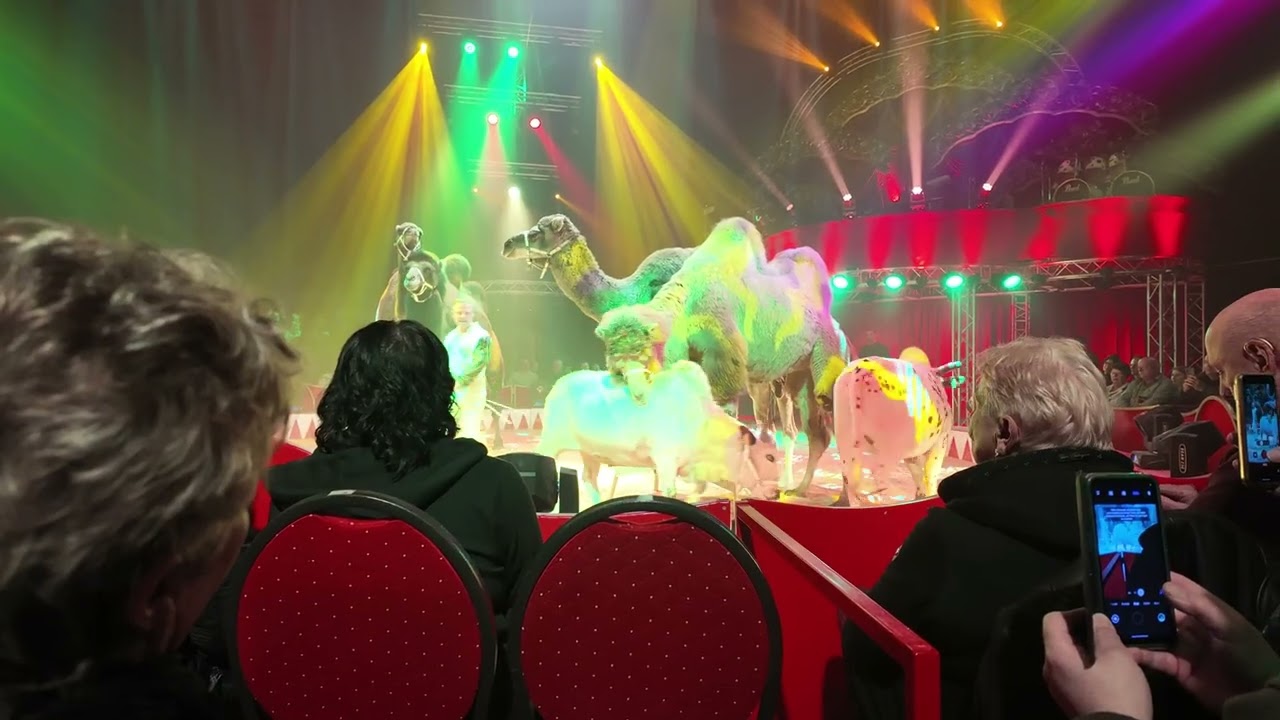 Winterzirkus 2025