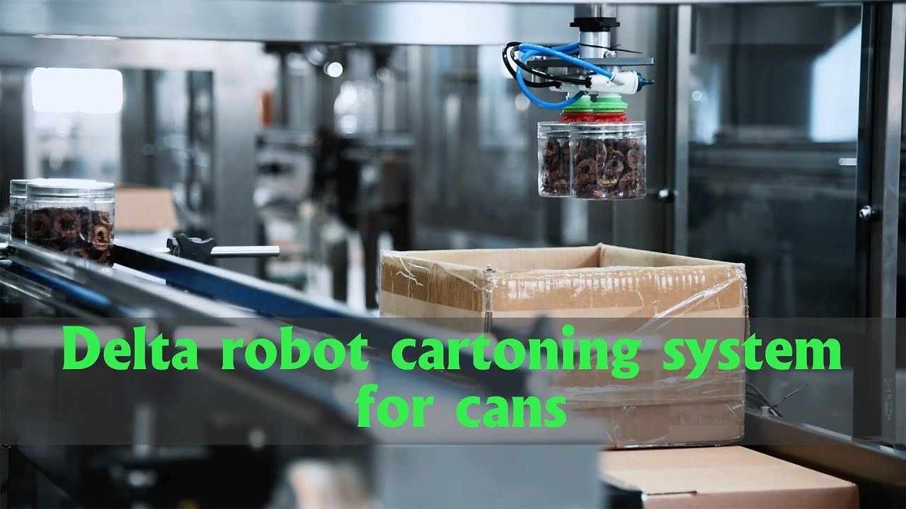 Delta robot carton box packing system.