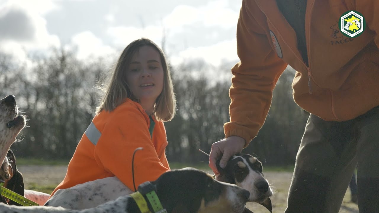 Passion Chien Courant - Episode 1 : De Génération en Génération