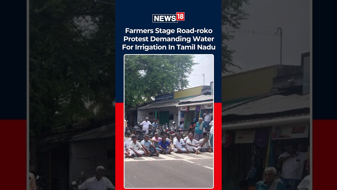 Water Crisis Sparks Protest: Farmers Block Thoothukudi-Tirunelveli Highway | N18S