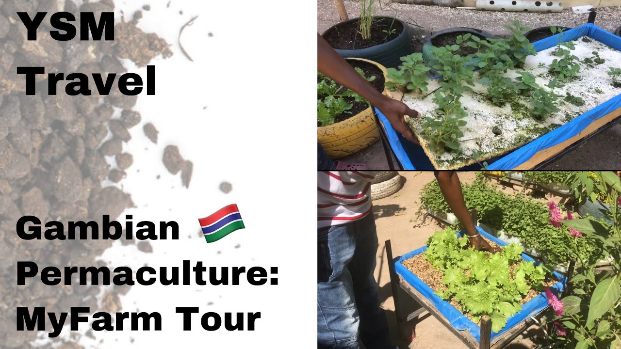 Vlog: Permaculture Garden in The Gambia