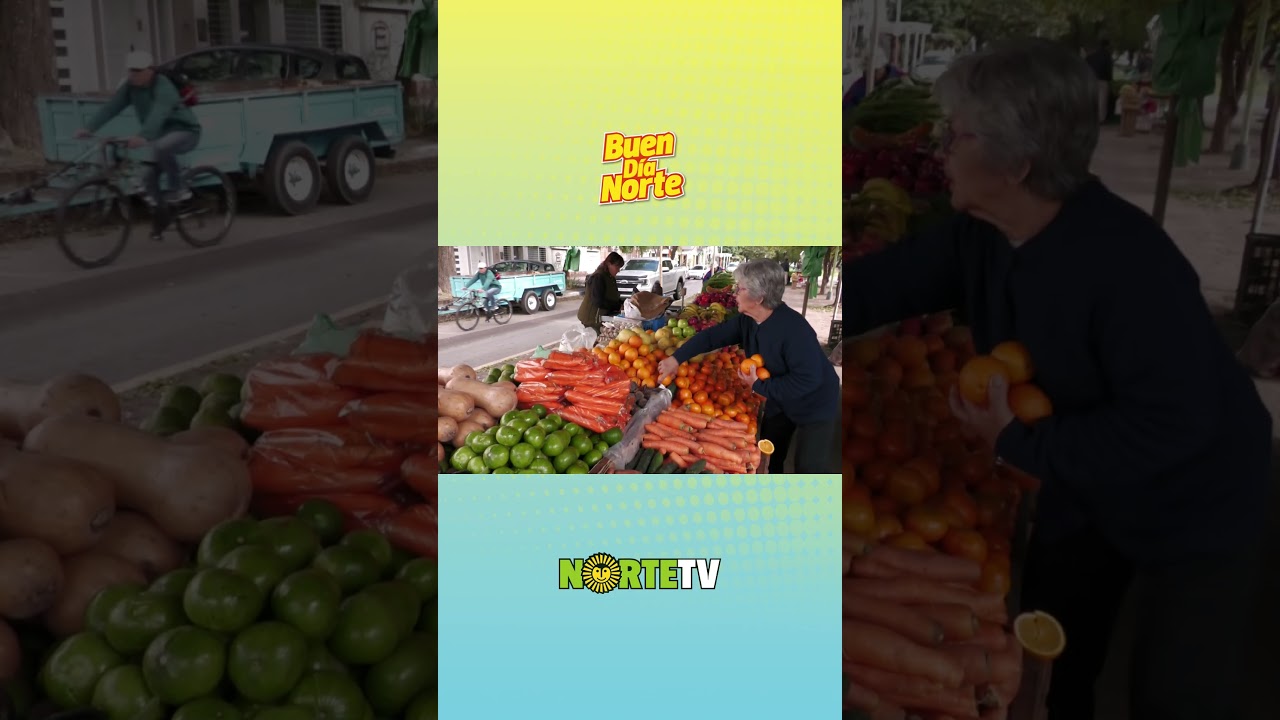 ✨ hablamos con Dante,  para mostrar una realidad:  la vida del feriante.