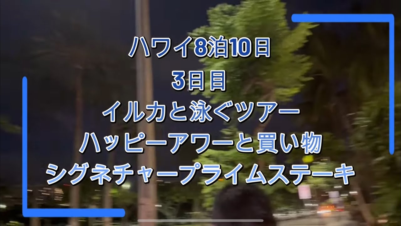 ハワイ8泊10日　3日目　2025.9 イルカと泳ぐツアー　シグネチャープライムステーキ　買い物しまーす🌴