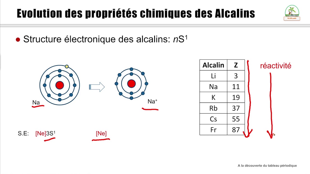 2.2.1 ÉVOLUTION DES PROPRIÉTÉS CHIMIQUES DES ALCALINS