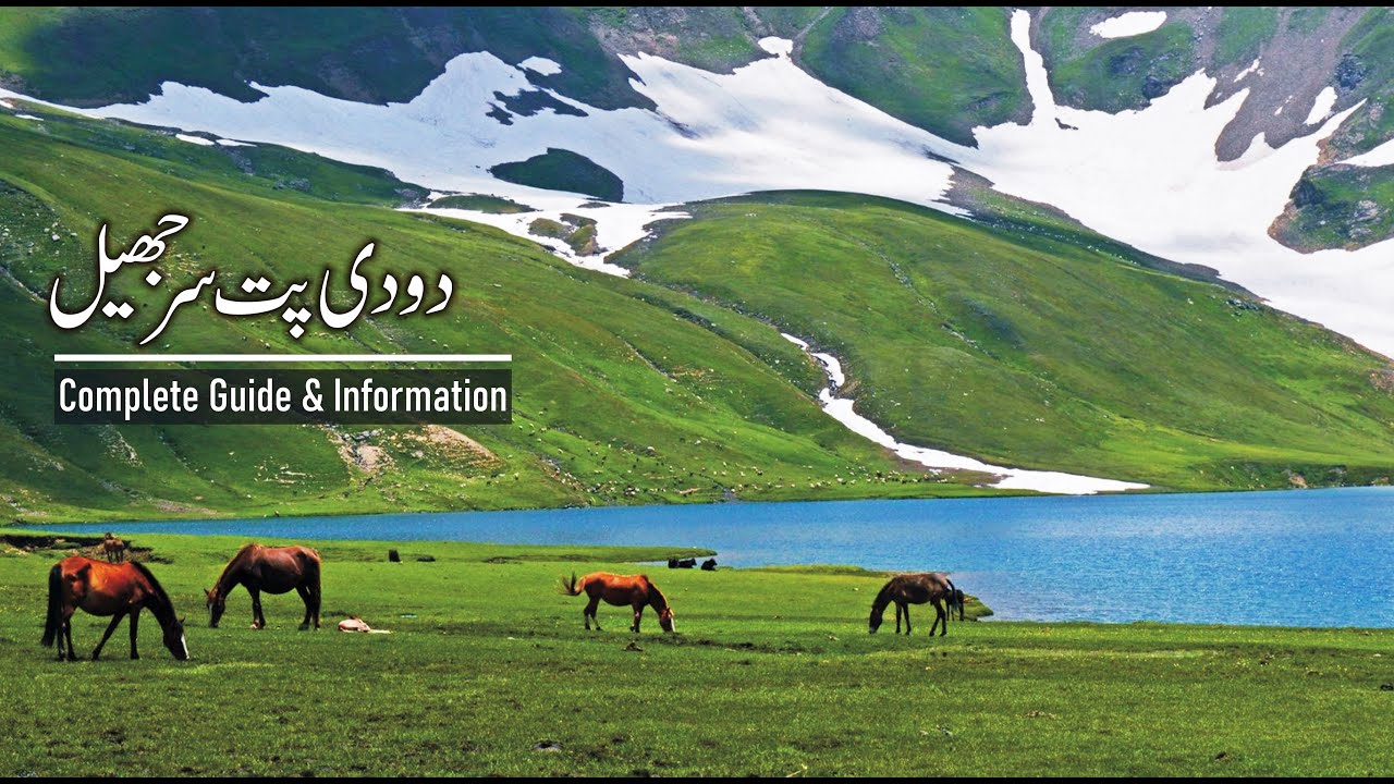 DUDIPATSAR Lake Trek June 2022 I Complete Guide I How to Reach & Night Stay I Naran Valley Pakistan
