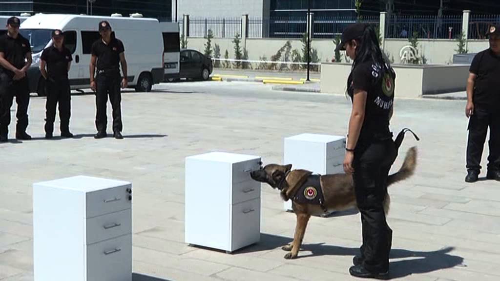 Anadolu Ajansı - Gümrüklere 7 