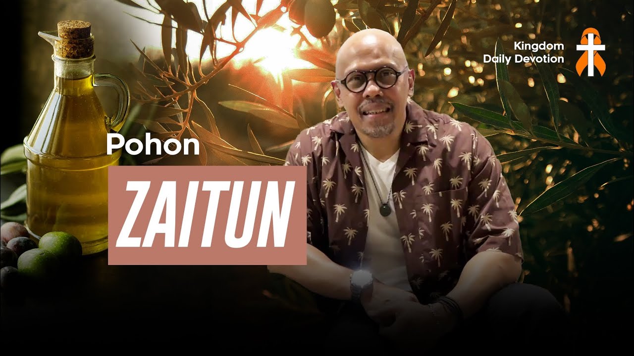 POHON ZAITUN #pleaseshare 
