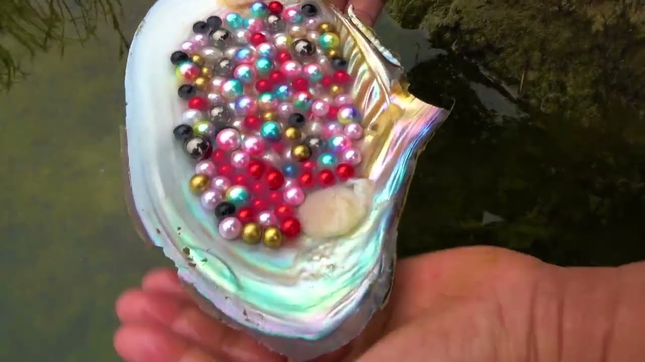 The pearl collected in the shell is unique in color and very rare