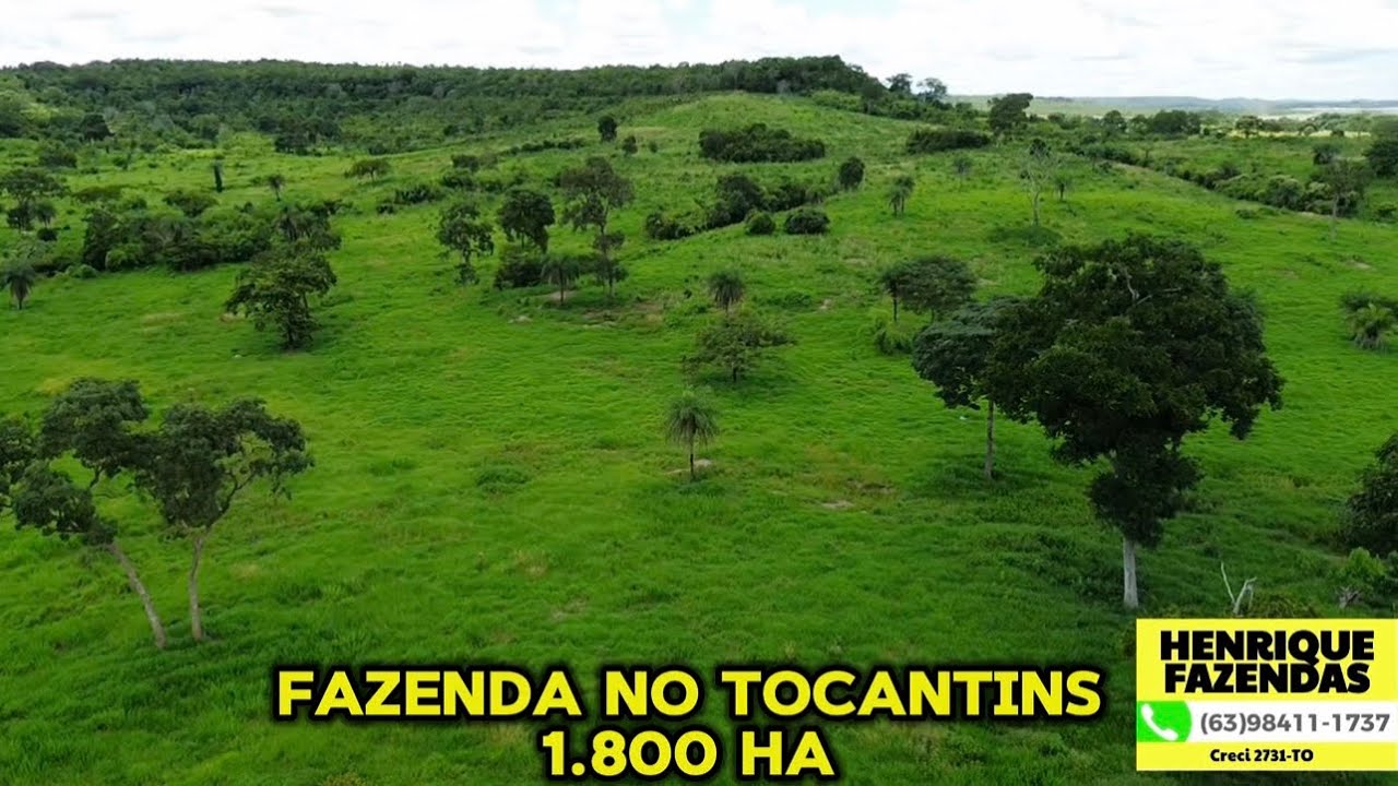 FAZENDA NO TOCANTINS 1.800 HECTARES CULTURA (63)98411-1737