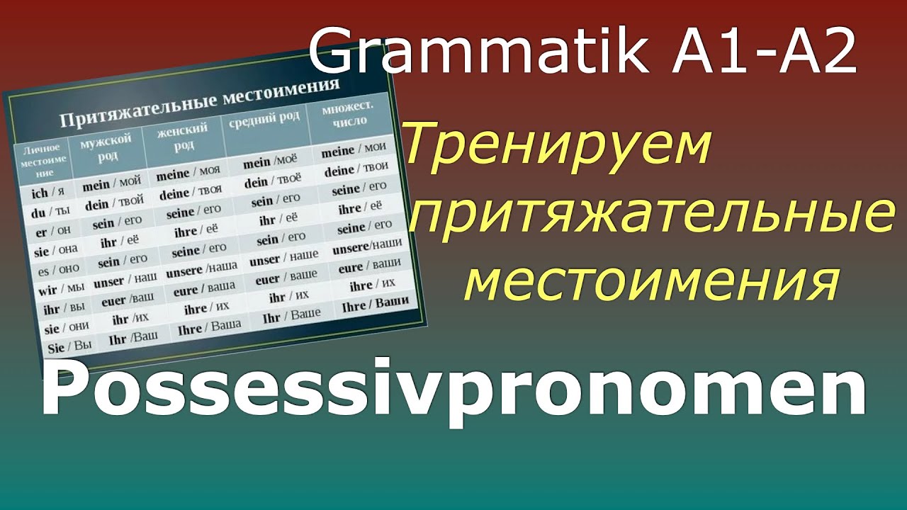 Possessivpronomen /Притяжательные местоимения в упражнениях
