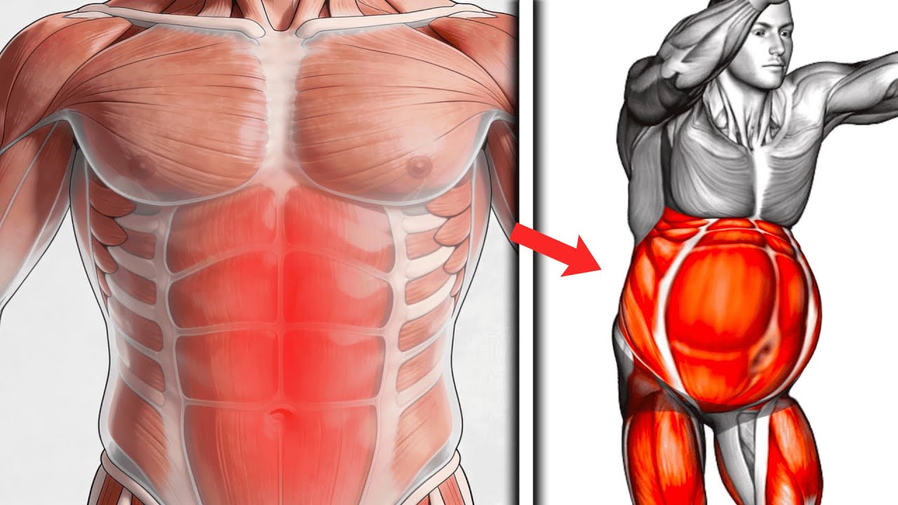 The Best Exercises for Hanging Belly Fat