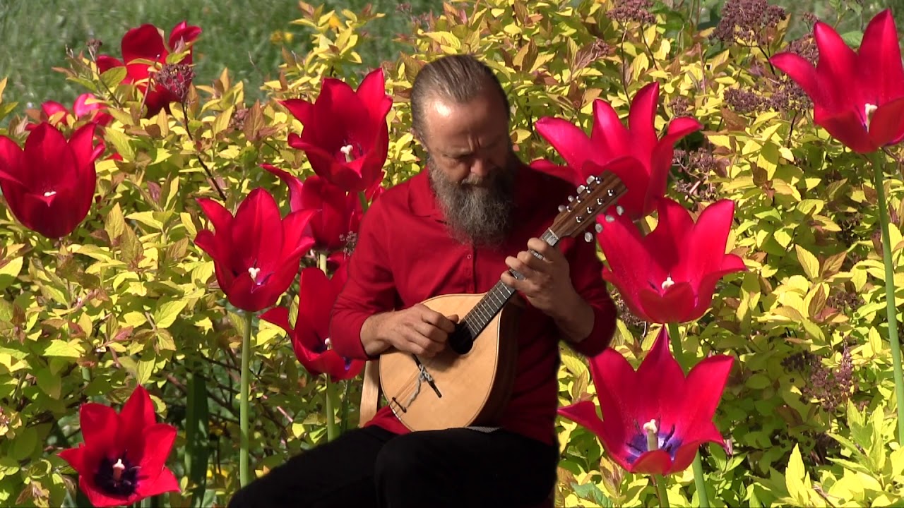 Vals från Vargön (Västergötland) - Toomas Rannu (mandolin)