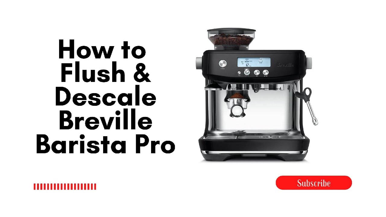 How to Flush and Descale the Breville Barista Pro | Step-by-Step Guide