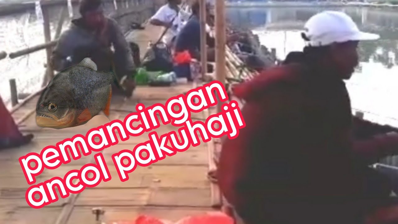 mancing harian ancol fhising pakuhaji tangerang