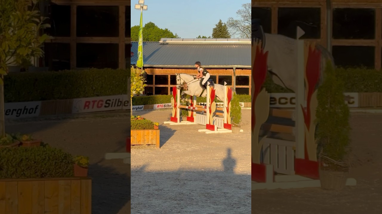 Showjumping Class A* 90 cm 🥰 #foryou #showjumping #featureme #equestrian