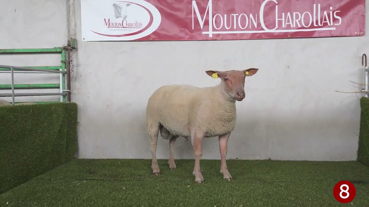 Petite Vente 2024